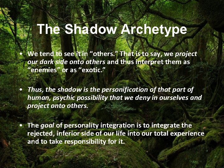 The Shadow Archetype • We tend to see it in “others. ” That is