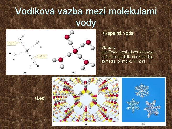 Vodíková vazba mezi molekulami vody • Kapalná voda Obrázky: http: //cwx. prenhall. com/bookbi nd/pubbooks/hillchem