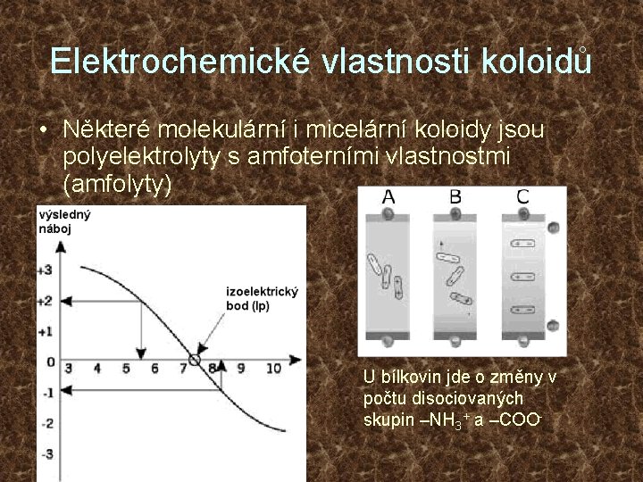 Elektrochemické vlastnosti koloidů • Některé molekulární i micelární koloidy jsou polyelektrolyty s amfoterními vlastnostmi