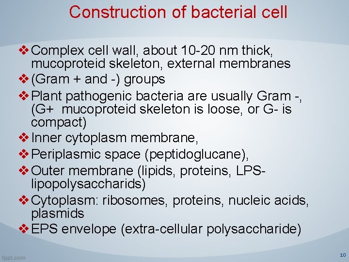 Construction of bacterial cell v Complex cell wall, about 10 -20 nm thick, mucoproteid