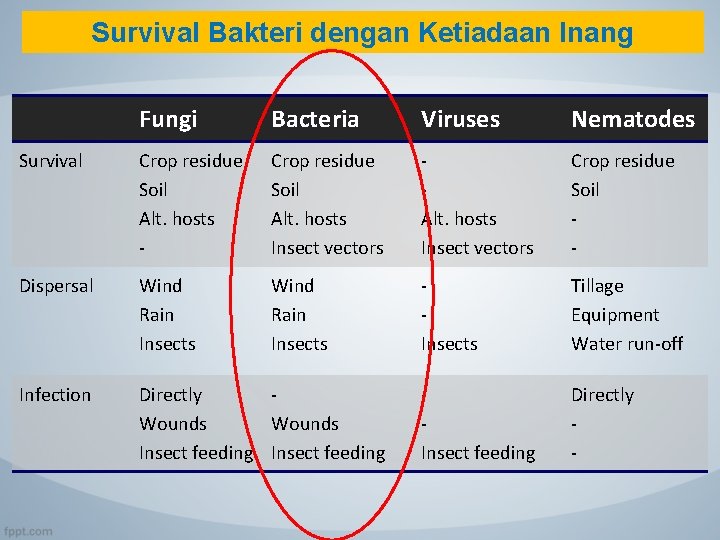 Survival Bakteri dengan Ketiadaan Inang Fungi Bacteria Viruses Nematodes Survival Crop residue Soil Alt.