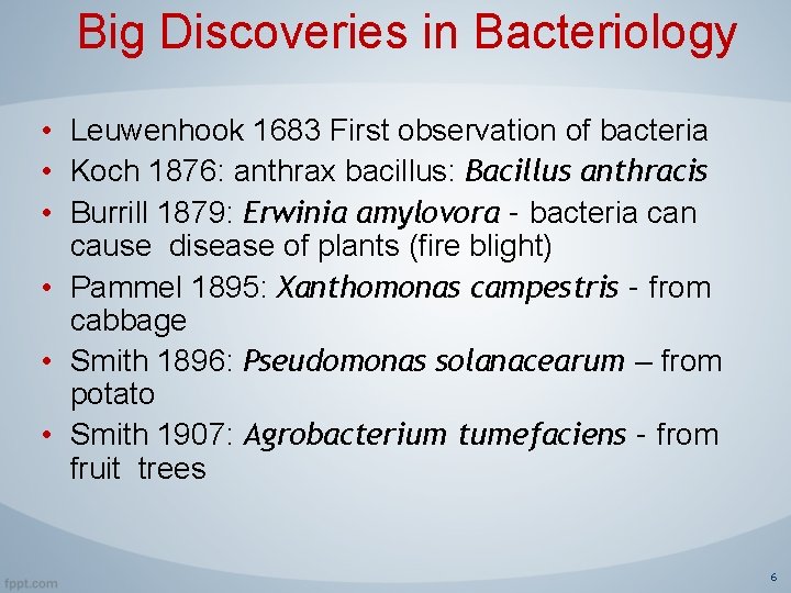 Big Discoveries in Bacteriology • Leuwenhook 1683 First observation of bacteria • Koch 1876: