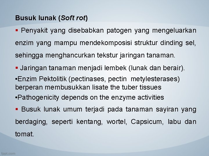 Busuk lunak (Soft rot) § Penyakit yang disebabkan patogen yang mengeluarkan enzim yang mampu