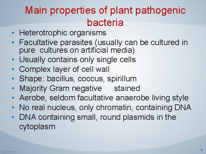 Main properties of plant pathogenic bacteria • Heterotrophic organisms • Facultative parasites (usually can