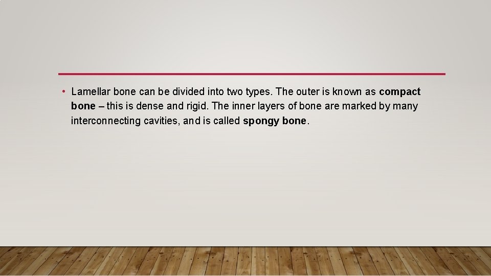  • Lamellar bone can be divided into two types. The outer is known