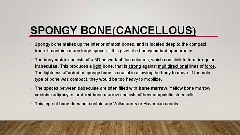 SPONGY BONE(CANCELLOUS) • Spongy bone makes up the interior of most bones, and is