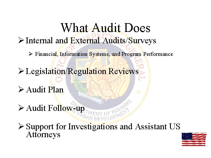 What Audit Does Ø Internal and External Audits/Surveys Ø Financial, Information Systems, and Program