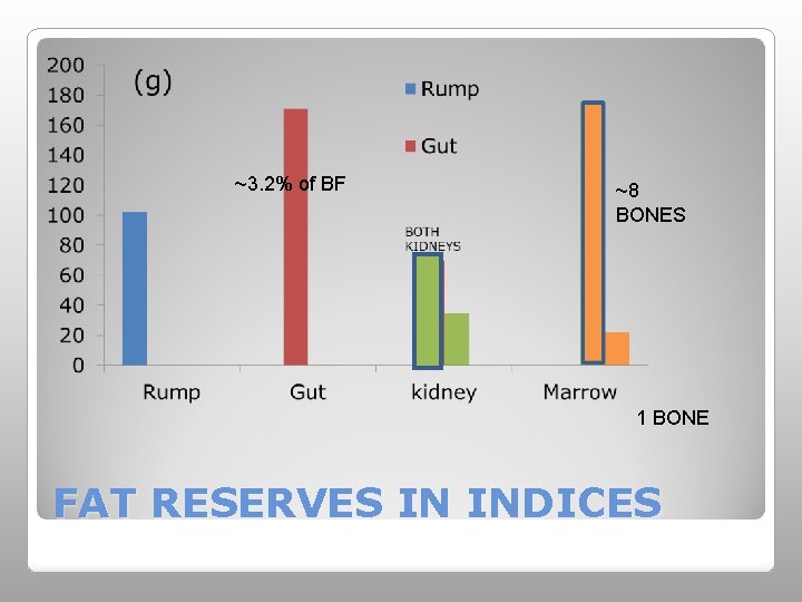 ~3. 2% of BF ~8 BONES 1 BONE FAT RESERVES IN INDICES 