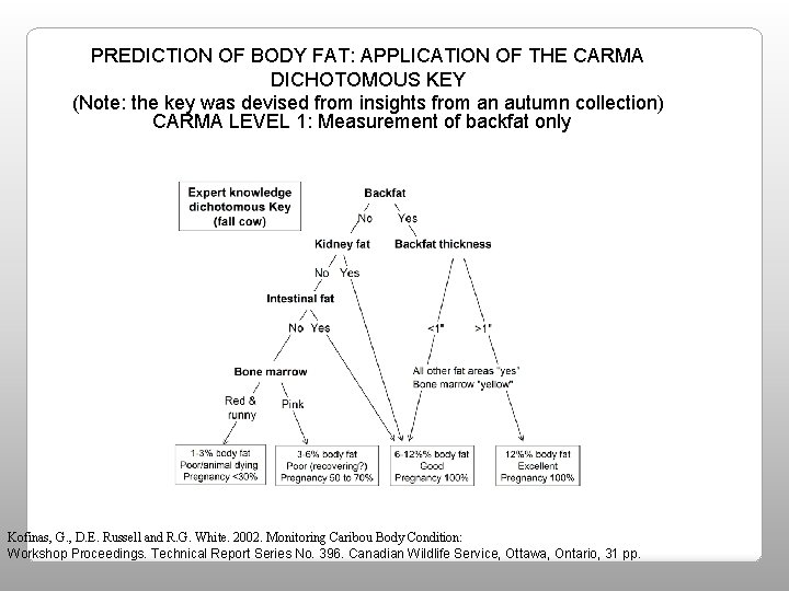 PREDICTION OF BODY FAT: APPLICATION OF THE CARMA DICHOTOMOUS KEY (Note: the key was