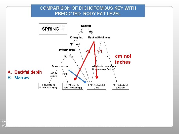 COMPARISON OF DICHOTOMOUS KEY WITH PREDICTED BODY FAT LEVEL SPRING <1 >1 cm not