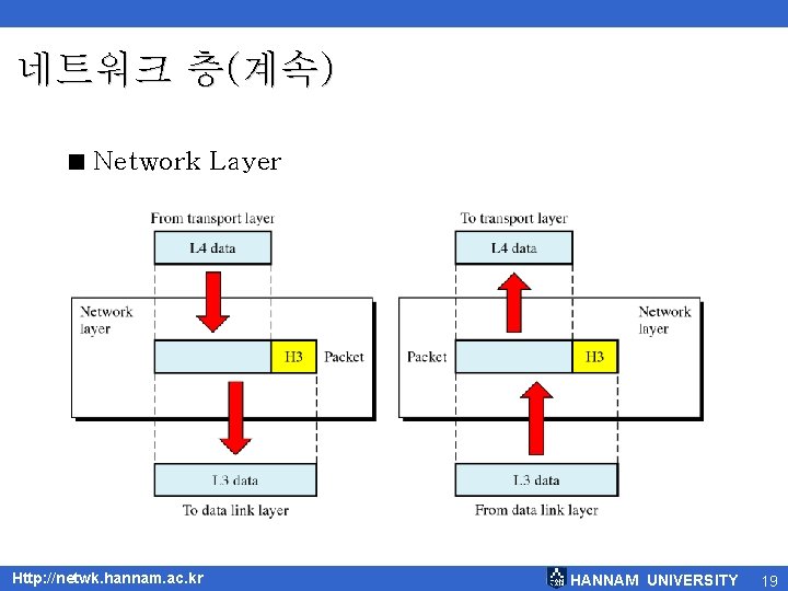 네트워크 층(계속) < Network Layer Http: //netwk. hannam. ac. kr HANNAM UNIVERSITY 19 