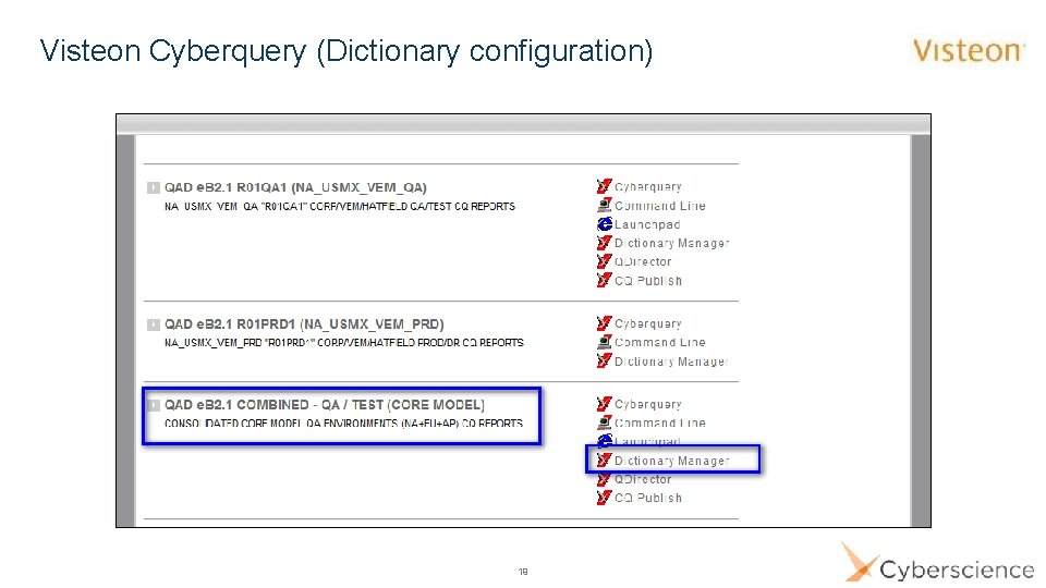 Visteon Cyberquery (Dictionary configuration) 19 