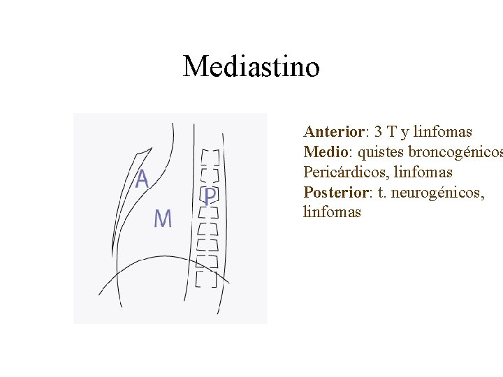 Mediastino Anterior: 3 T y linfomas Medio: quistes broncogénicos Pericárdicos, linfomas Posterior: t. neurogénicos,