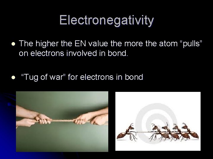 Electronegativity l l The higher the EN value the more the atom “pulls” on