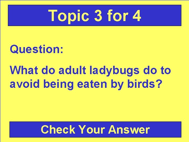 Topic 3 for 4 Question: What do adult ladybugs do to avoid being eaten