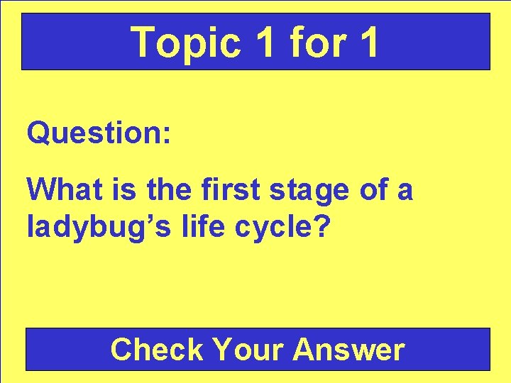 Topic 1 for 1 Question: What is the first stage of a ladybug’s life