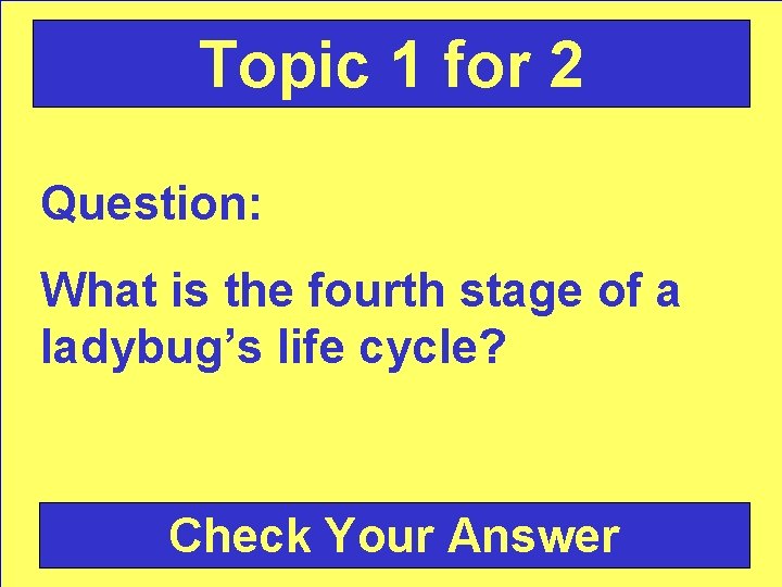 Topic 1 for 2 Question: What is the fourth stage of a ladybug’s life