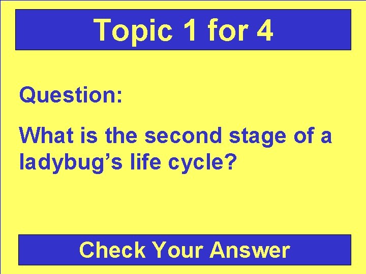 Topic 1 for 4 Question: What is the second stage of a ladybug’s life