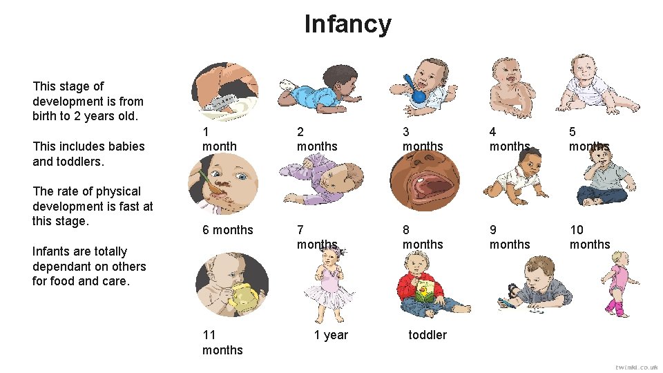 Infancy This stage of development is from birth to 2 years old. This includes