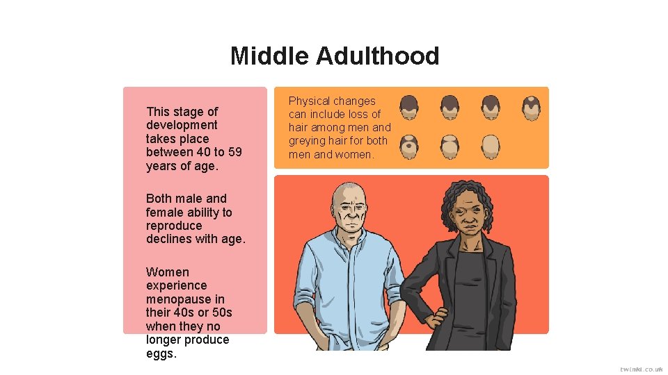Middle Adulthood This stage of development takes place between 40 to 59 years of