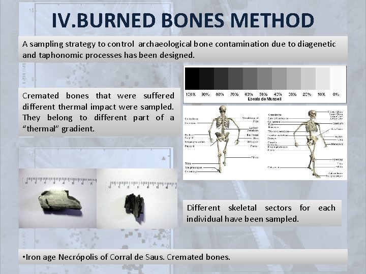 IV. BURNED BONES METHOD A sampling strategy to control archaeological bone contamination due to