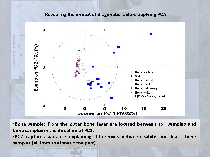 Revealing the impact of diagenetic factors applying PCA • Bone samples from the outer