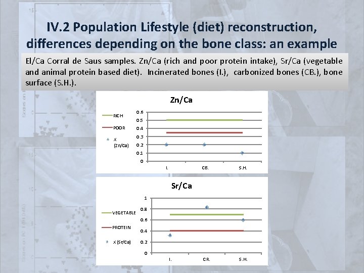 IV. 2 Population Lifestyle (diet) reconstruction, differences depending on the bone class: an example