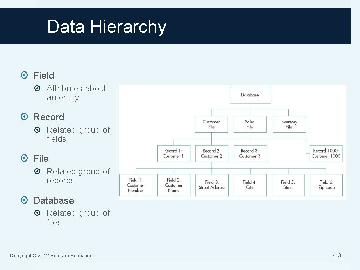 Data Hierarchy Field Attributes about an entity Record Related group of fields File Related
