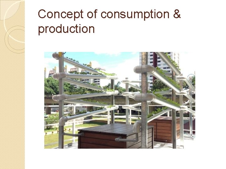 Concept of consumption & production 