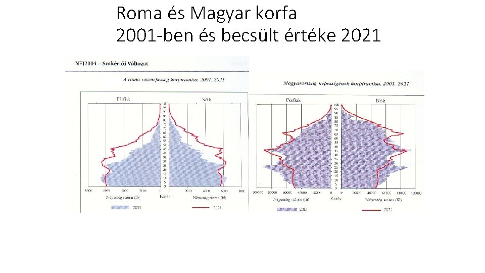 Roma és Magyar korfa 2001 -ben és becsült értéke 2021 