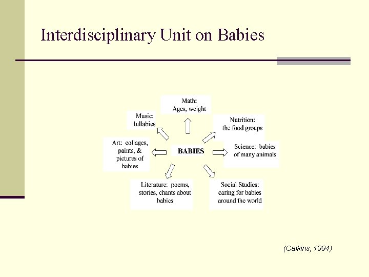 Interdisciplinary Unit on Babies (Calkins, 1994) 
