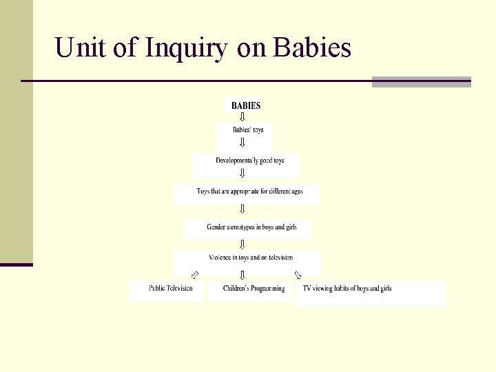 Unit of Inquiry on Babies 