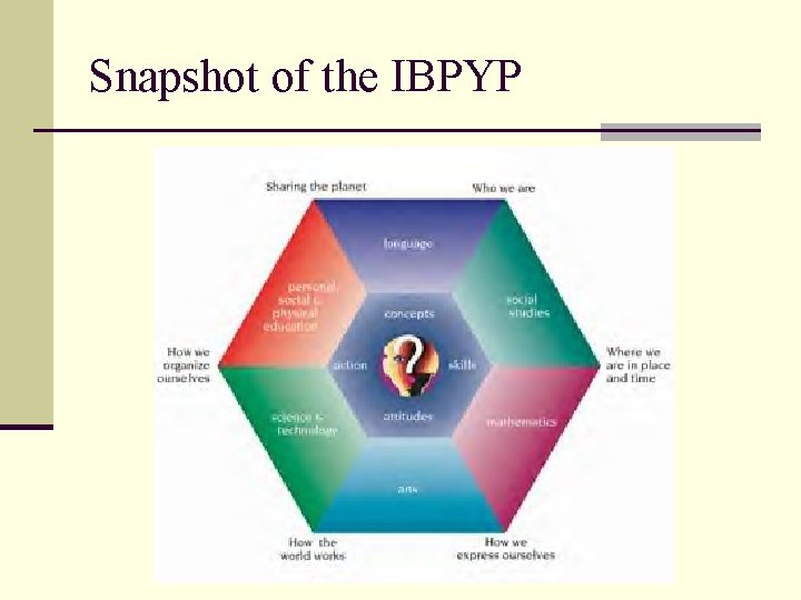 Snapshot of the IBPYP 