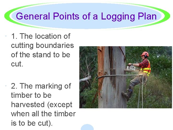 General Points of a Logging Plan · 1. The location of cutting boundaries of