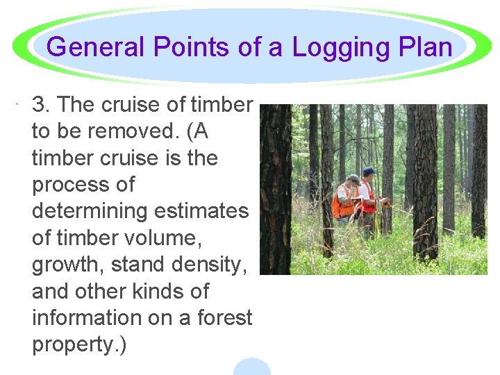 General Points of a Logging Plan · 3. The cruise of timber to be