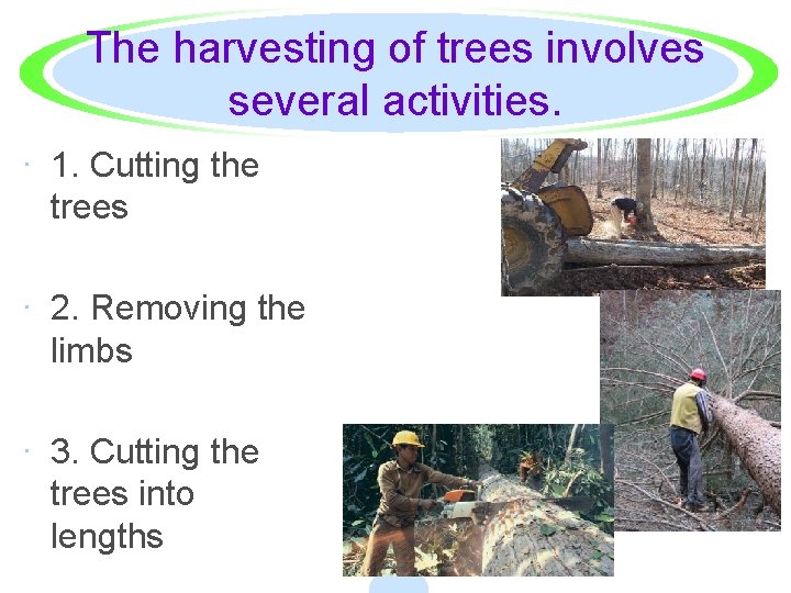 The harvesting of trees involves several activities. · 1. Cutting the trees · 2.