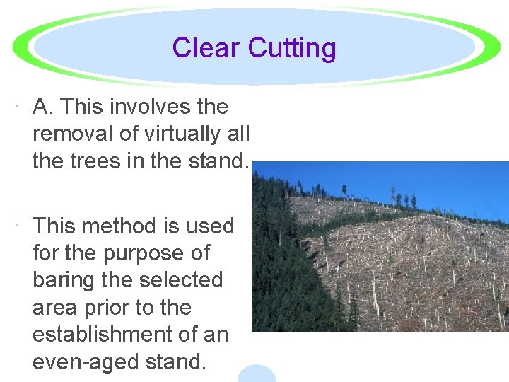 Clear Cutting · A. This involves the removal of virtually all the trees in