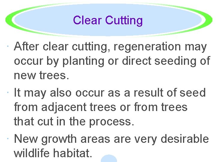 Clear Cutting · After clear cutting, regeneration may occur by planting or direct seeding