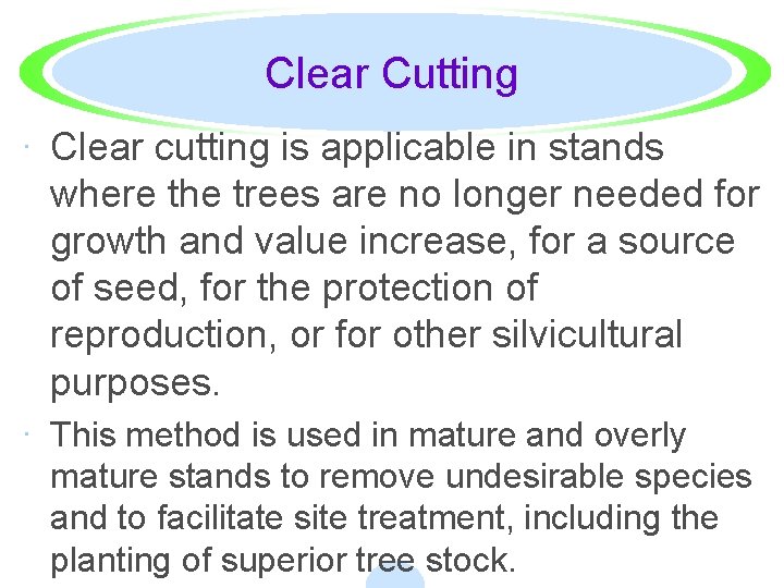 Clear Cutting · Clear cutting is applicable in stands where the trees are no