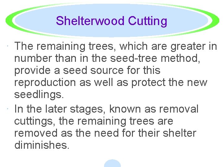 Shelterwood Cutting · The remaining trees, which are greater in number than in the