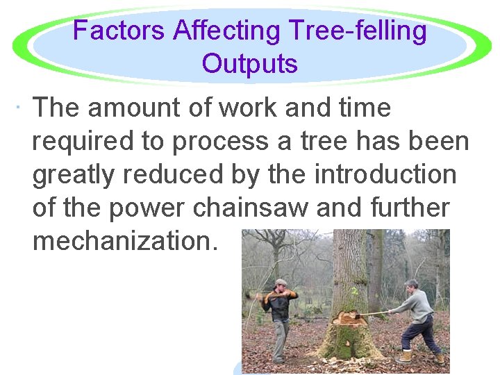 Factors Affecting Tree-felling Outputs · The amount of work and time required to process