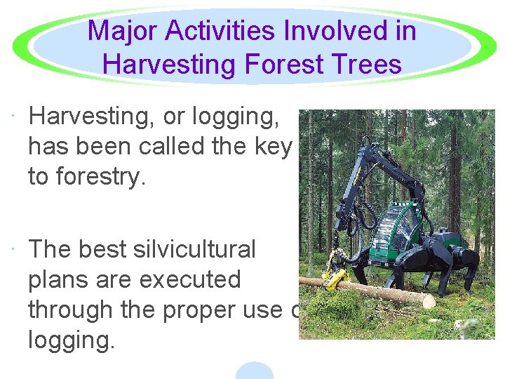 Major Activities Involved in Harvesting Forest Trees · Harvesting, or logging, has been called
