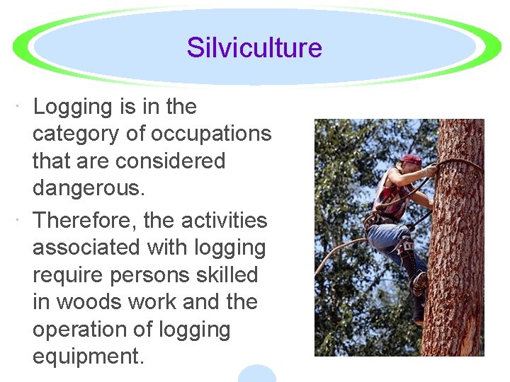 Silviculture · Logging is in the category of occupations that are considered dangerous. ·