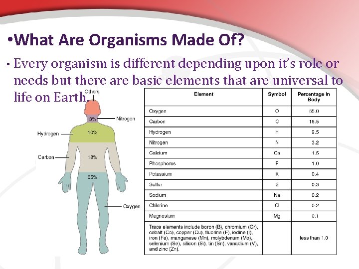 • What Are Organisms Made Of? • Every organism is different depending upon
