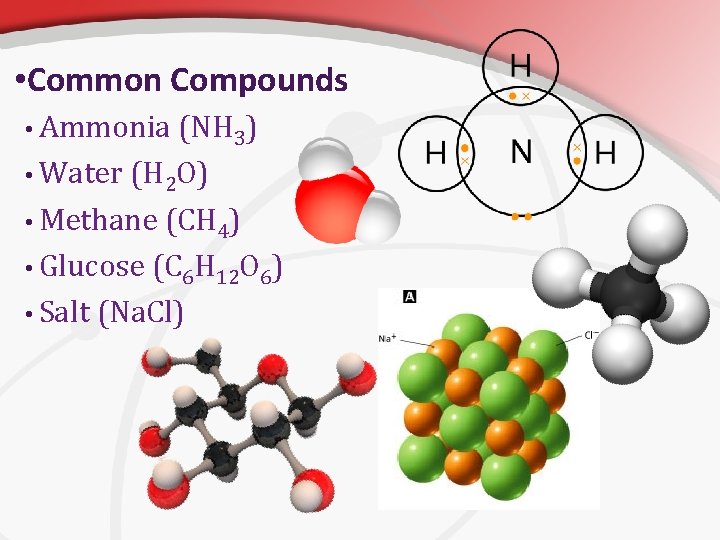  • Common Compounds • Ammonia (NH 3) • Water (H 2 O) •