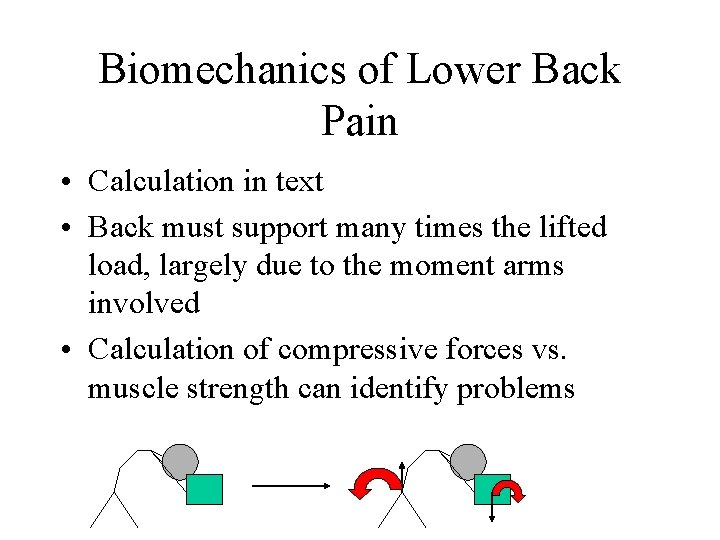 Biomechanics of Lower Back Pain • Calculation in text • Back must support many