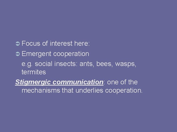  Focus of interest here: Emergent cooperation e. g. social insects: ants, bees, wasps,