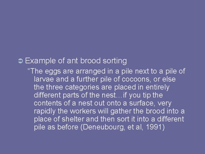  Example of ant brood sorting “The eggs are arranged in a pile next