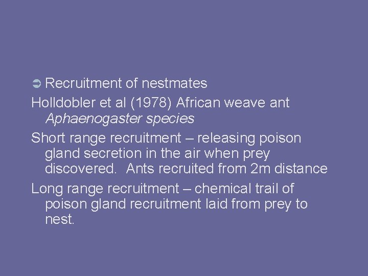  Recruitment of nestmates Holldobler et al (1978) African weave ant Aphaenogaster species Short