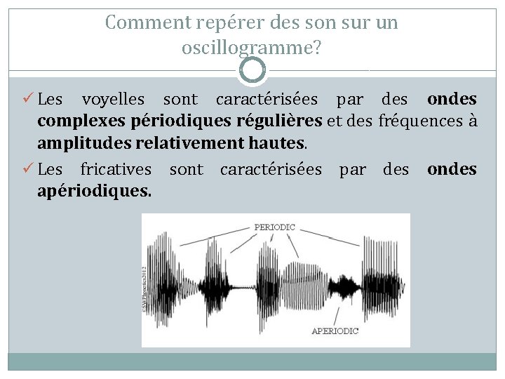 Comment repérer des son sur un oscillogramme? ü Les voyelles sont caractérisées par des